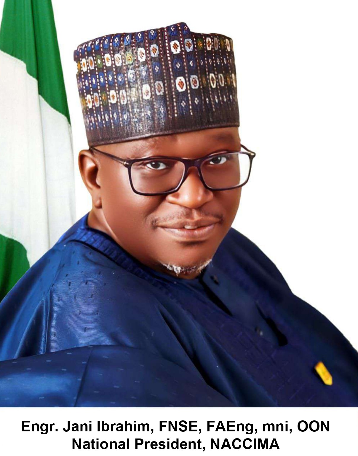 Engr. Jani Ibrahim, FNSE, FAEng, mni, OON